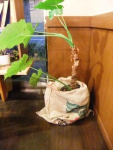 麻袋